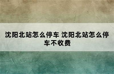 沈阳北站怎么停车 沈阳北站怎么停车不收费